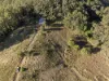 984 reserve creek road, Reserve Creek, NSW 2484-Image