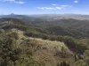 984 reserve creek road, Reserve Creek, NSW 2484-Image