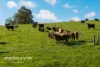 986 Joshua Creek Road, Crooked Brook, WA 6236-Image