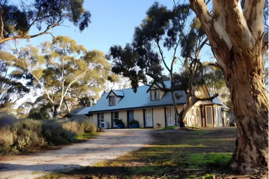 99 Gaelic Cemetery Road, Stanley Flat, SA 5453