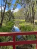 99 Gaelic Cemetery Road, Stanley Flat, SA 5453-Image