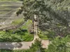 99 Gaelic Cemetery Road, Stanley Flat, SA 5453-Image