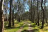 99 Gaelic Cemetery Road, Stanley Flat, SA 5453-Image