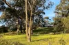 99 Gaelic Cemetery Road, Stanley Flat, SA 5453-Image