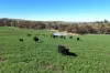 A21 Sunnydale Road, Strathalbyn, SA 5255-Image