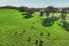 A21 Sunnydale Road, Strathalbyn, SA 5255-Image