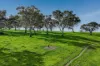 A21 Sunnydale Road, Strathalbyn, SA 5255-Image
