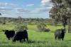 A21 Sunnydale Road, Strathalbyn, SA 5255-Image