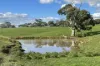 A21 Sunnydale Road, Strathalbyn, SA 5255-Image