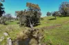 A21 Sunnydale Road, Strathalbyn, SA 5255-Image