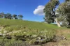 A21 Sunnydale Road, Strathalbyn, SA 5255-Image