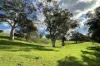 A21 Sunnydale Road, Strathalbyn, SA 5255-Image
