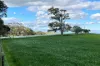 A21 Sunnydale Road, Strathalbyn, SA 5255-Image