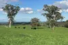 A21 Sunnydale Road, Strathalbyn, SA 5255-Image