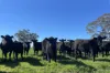 A21 Sunnydale Road, Strathalbyn, SA 5255-Image