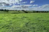 A21 Sunnydale Road, Strathalbyn, SA 5255-Image