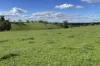 A21 Sunnydale Road, Strathalbyn, SA 5255-Image