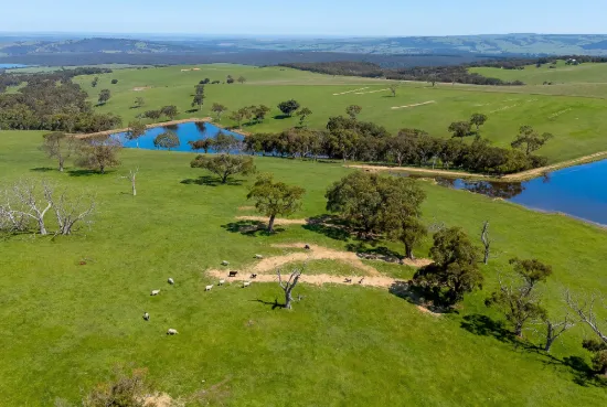 A22 Cole Crossing Road, Mount Magnificent, SA 5210