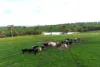 A22 Cole Crossing Road, Mount Magnificent, SA 5210-Image