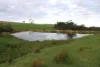A22 Cole Crossing Road, Mount Magnificent, SA 5210-Image