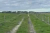 A22 Cole Crossing Road, Mount Magnificent, SA 5210-Image