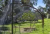 Address available on request, Bindoon, WA 6502-Image