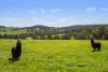 Address available on request, Bindoon, WA 6502-Image