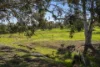 Address available on request, Bindoon, WA 6502-Image
