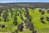 Address available on request, Bindoon, WA 6502-Image