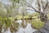 Address available on request, Caraban, WA 6041-Image