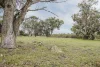 Address available on request, Caraban, WA 6041-Image