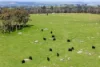 Address available on request, Harrogate, SA 5244-Image