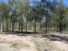 Address available on request, Tara, Qld 4421-Image