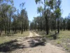 Address available on request, Tara, Qld 4421-Image
