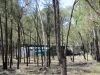 Address available on request, Tara, Qld 4421-Image