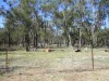 Address available on request, Tara, Qld 4421-Image
