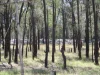 Address available on request, Tara, Qld 4421-Image