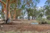 Allotment 22 Flynns Road, Pelluebla VIC 3727-Image