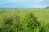 'Amatunga' Amatunga Road, Clermont QLD 4721-Image