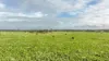 'Amatunga' Amatunga Road, Clermont QLD 4721-Image