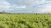 'Amatunga' Amatunga Road, Clermont QLD 4721-Image