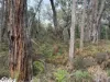 Andersons Lane, Stradbroke, Vic 3851-Image