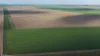 Auburn, Spring Plains, NSW 2388