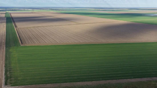 Auburn, Spring Plains, NSW 2388