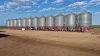 Auburn, Spring Plains, NSW 2388-Image