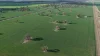 Auburn, Spring Plains, NSW 2388-Image