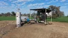 Auburn, Spring Plains, NSW 2388-Image