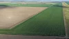 Auburn, Spring Plains, NSW 2388-Image