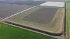 Auburn, Spring Plains, NSW 2388-Image