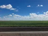 Auburn, Spring Plains, NSW 2388-Image